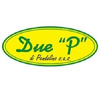DUE P PENDOLINO SRL