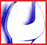 EuroelfeR s.a.s.